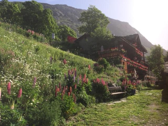 Apartament Le P'Tit Coin Montagne Bonneval-sur-Arc Zewnętrze zdjęcie